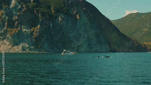 Pod of killer whales feeds in bay and group of tourists watches them from yacht moored at safe distance near cliff. Concept of power of wild nature
