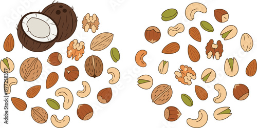 Mixed Nuts Illustration Set with Almond Cashew Walnut Pistachio and Coconut for Healthy Snack Food Design Natural Ingredient Collection