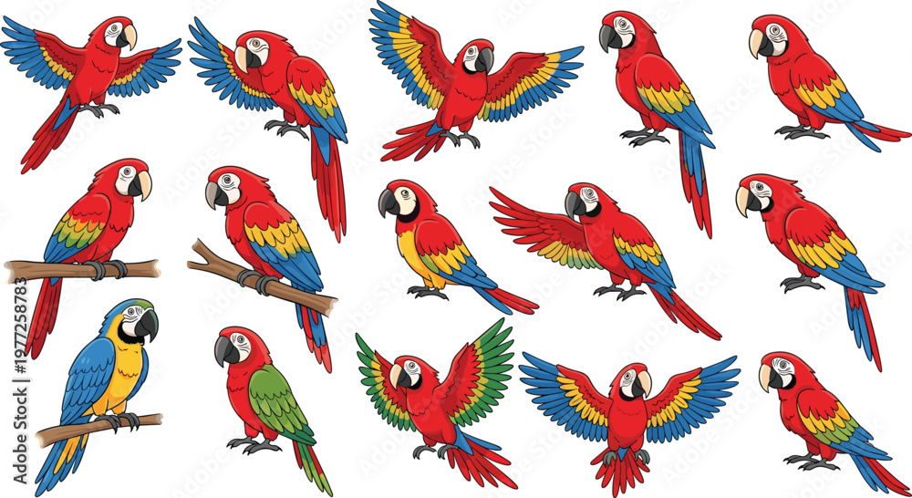 Obraz premium Colorful parrot collection with macaw birds in flying and sitting poses in flat vector style, tropical wildlife illustrations isolated on white background for nature design