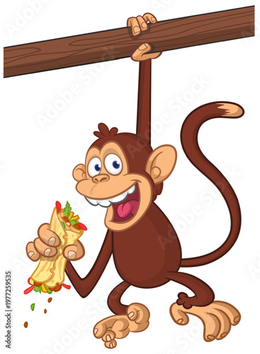 Cartoon funny monkey chimpanzee holding falafel or kebab in his hands. Vector illustration of happy monkey character design isolated.