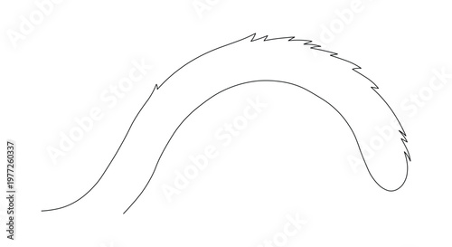 Continuous single line drawing of long furry tail for animal character design or wildlife concepts