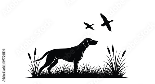 Pointer dog gazing at flying birds in a marshland silhouette