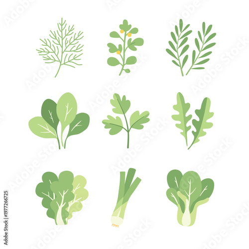 Hand-drawn collection of fresh green herbs, leafy vegetables in clean flat style, perfect for organic food branding, menus, packaging, healthy lifestyle designs. Vector illustration, white background