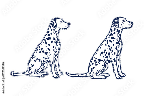 Two dalmatian dogs in profile a black and white sketch illustration