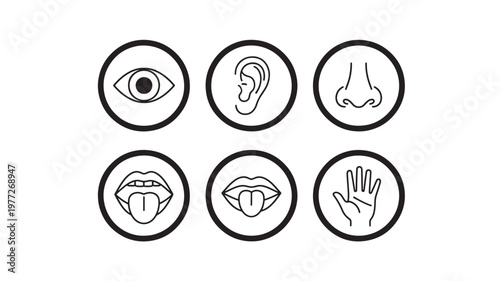 Five senses icons including eye, ear, nose, mouth with tongue and hand within circles, presented in a clean black and white line art style.