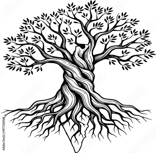 Ancient Olive Tree Roots Palestine Map Silhouette Heritage Land Resilience Vector