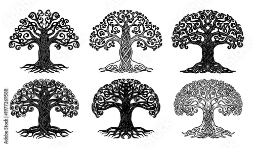 Hand-drawn Celtic tree vector illustration set with intricate knot patterns isolated on white