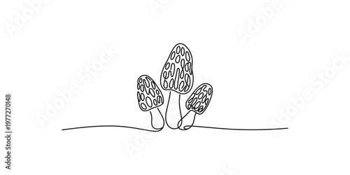 Black line drawing of three morel mushrooms on a white background mushroom fungus illustration simple