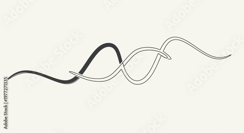 Black and white intertwined cord.