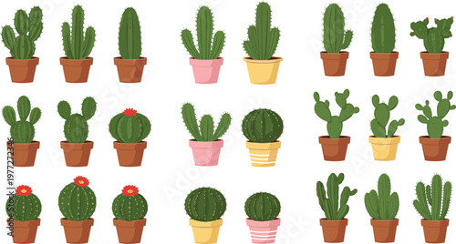 Cactus plants collection vector illustration with potted succulents, different desert cactus varieties set for home decor, gardening design and botanical themes