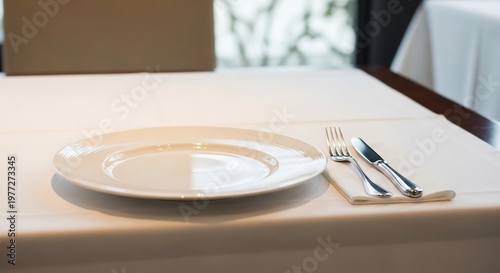 Elegant Table Setting with Plate Cutlery and Napkin Ready for Dining Experience.