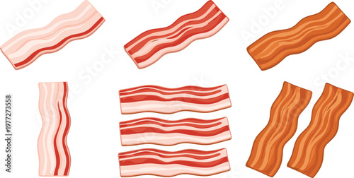 Bacon Strip Illustration Set with Raw and Cooked Variations for Meat Food Ingredient Cooking and Breakfast Design Collection