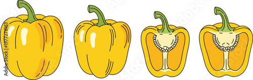 Yellow Bell Pepper Illustration Set with Whole and Cut Capsicum Variations for Fresh Vegetable Food Design and Healthy Cooking Collection