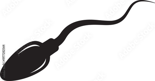 Scientific black silhouette of a human sperm cell, representing reproduction, fertility, biology, and genetics, isolated on a plain white background for research