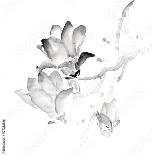 木蓮（Magnolia）の水墨画イラスト。墨の滲みが美しい和風素材（Sumi-e）