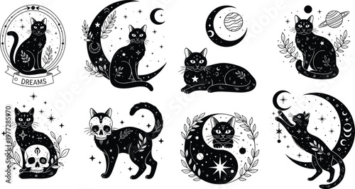 Mystical black cat illustrations with moon stars and occult symbols, magical fantasy vector set in vintage style