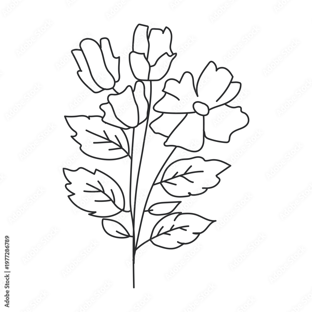 Obraz premium Flower Minimalist Line Art Drawing of Delicate Blooms and Leaves