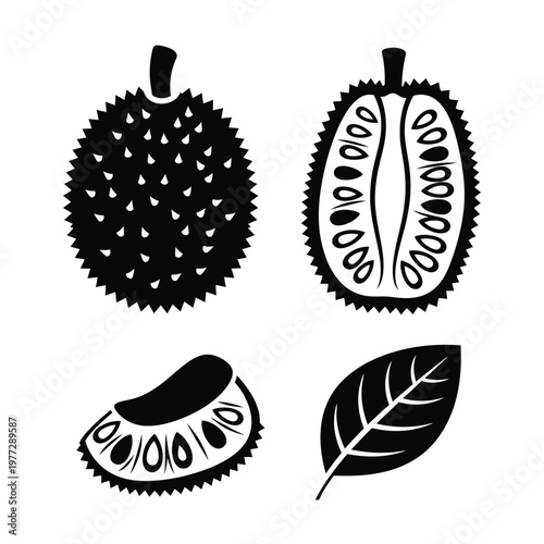 Durian Fruit and Leaf Silhouette Set 