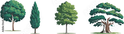 Collection of diverse green tree vector illustrations featuring cypress, oak, and deciduous types in a flat cartoon style isolated on a clean white background.