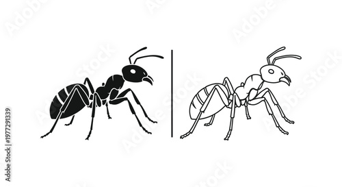 Ant Species Comparison: Worker vs Queen Vector