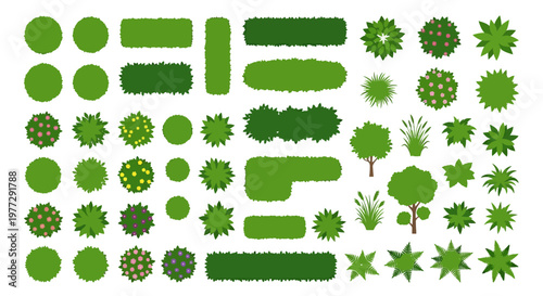 Aerial view of various green plants shrubs and trees in a set