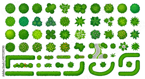 Collection of various green trees and shrubs viewed from above
