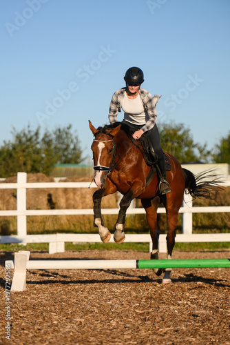 Female rider on bay horse jumping over hurdle in outdoor arena. Show jumping competition, equestrian sport, hobby, active lifestyle, animal and human bond, success concept, professional training