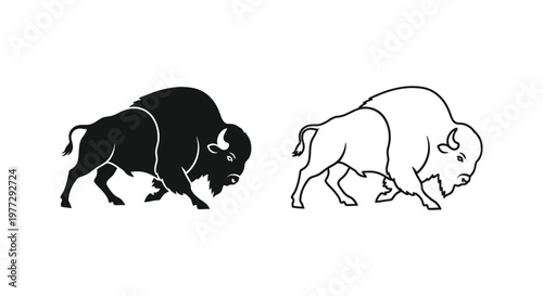 American Bison Illustration: Historical Art Black and White Vector