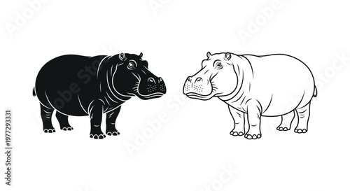 Hippopotamus Types: Black vs White Hippo Guide Vector