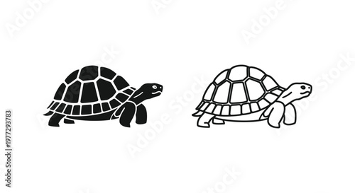 Tortoise Drawing Ideas for Kids and Beginners Vector