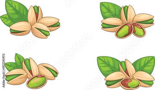 Pistachio Nut Illustration Set with Open Shell and Green Kernel Variations for Healthy Snack Food Ingredient Natural Design Collection