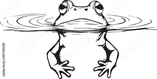 Frog vector illustration with frog partially submerged in water and ripples