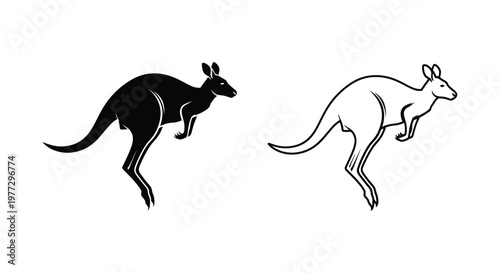 Kangaroo Vector Designs & Illustrations Vector
