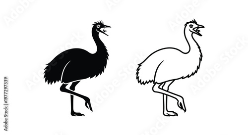 Emus vs Ostriches: Flightless Birds Comparison Guide Vector