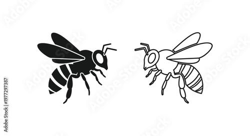 Bee vs Wasp Identification Guide: Key Differences Vector