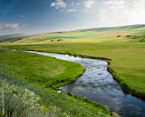 A beautiful stream flowing through the hills. Nature and spring as the backdrop.