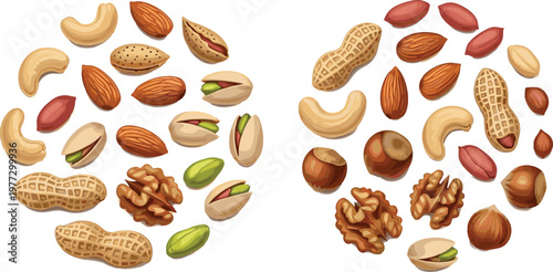 Mixed Nuts Illustration Set with Peanuts Almonds Cashews Pistachios and Walnuts for Healthy Snack Food Design Natural Ingredient Collection