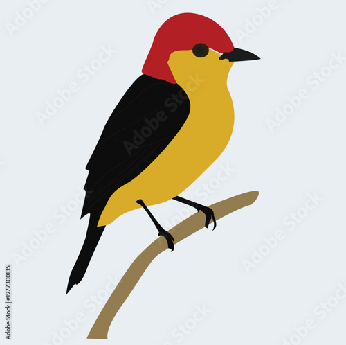  beautiful bird sitting on thin tree branch.
