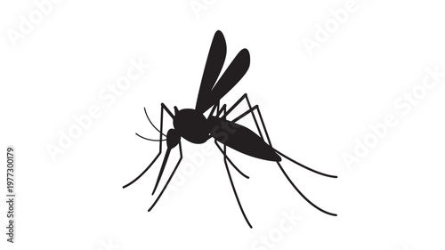 Mosquito silhouette icon with wings and long legs on a plain white background. featuring insect, bug, pest with drawing and illustration elements for