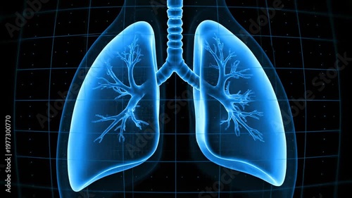 Illuminated 3D rendering of human lungs within a dark-blue, grid-like space