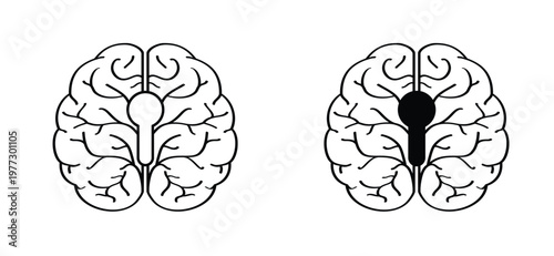 Anatomical human brain with key or keyhole. Stress, human brain silhouette icon. Human brain anatomy. Head view. World brain tumor day concept. simple line drawing or line pattern. Brains silhouette.