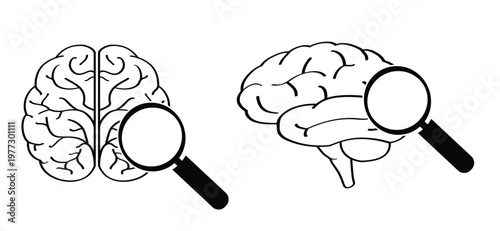 Anatomical human brain with magnifying-glass. Human brain silhouette icon. Human brain anatomy. Head view. World brain tumor day concept. simple line drawing or line pattern. Brains silhouette.