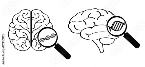 Anatomical human brain with DNA string. Human brain silhouette icon. Human brain anatomy. Medical concept. World brain tumor day concept. simple line drawing or line pattern. Brains and DNA strand.