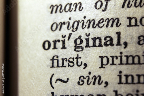 Word original printed on dictionary page, macro close up