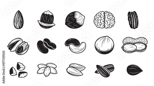 Assorted nuts and seeds icon set, featuring almonds, hazelnuts, walnuts, cashews, peanuts, and sunflower seeds in a clean, monochrome style.