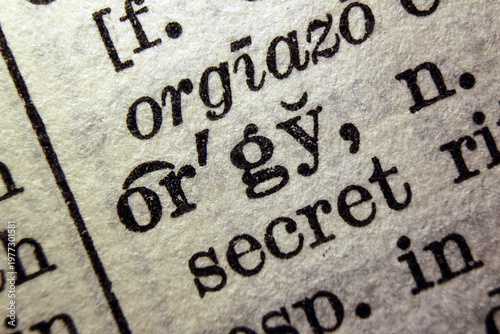 Bild auf Leinwand Word orgy printed on dictionary page, macro close up