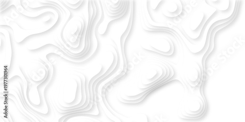 Abstract wavy line paper cut white background. vector natural shadow papercut web topography map spiral line. Topographic geometric map relief texture with curved layers. Origami relief map. 