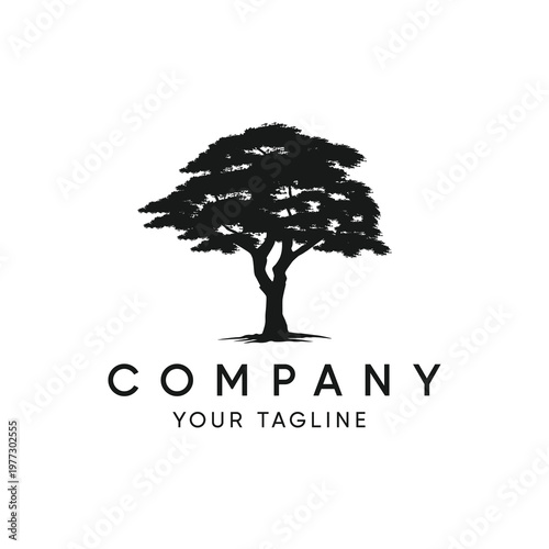 A tree silhouette with lush leaves, branches and a sturdy trunk, perfect for a logo or additional element in a design.