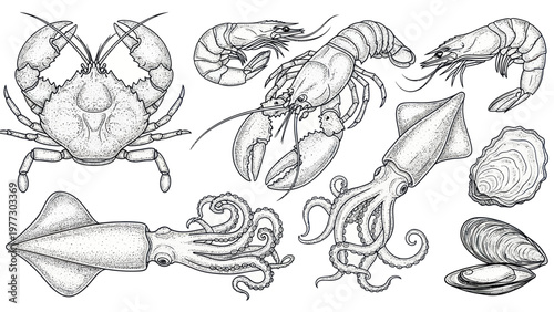 Detailed Hand-Drawn Seafood Collection - Crab, Lobster, Shrimp, Squid, and Shellfish.