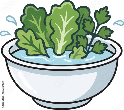 Rinse Bowl With Fresh Leafy Greens Washing Lettuce and Herbs in Kitchen Prep Illustration
